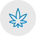 Icon of Cannabis leaf representing drug charges and marijuana-related legal issues